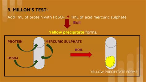 millon's test for protein|Organic Chemistry: Lesson 19. QUALITATIVE TEST FOR .